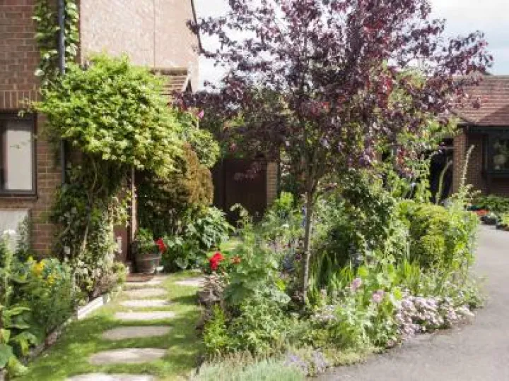 Open Gardens Haddenham image1