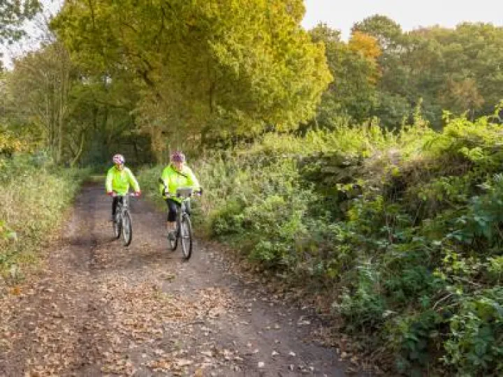 Sandstone Ridge   Cyclers in Autumn