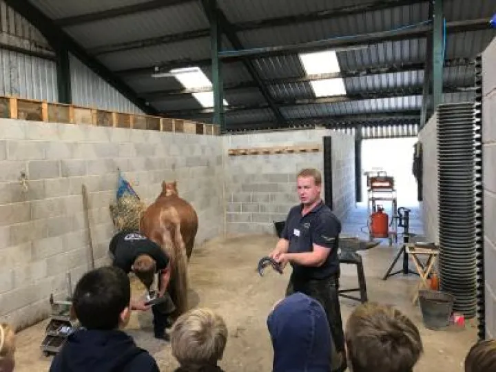 Farrier Display