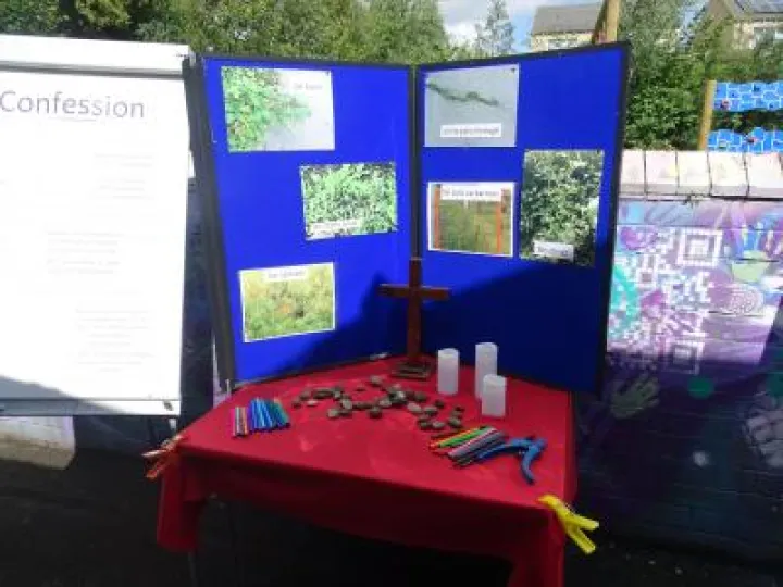 Jenny's Field 2017 (2)