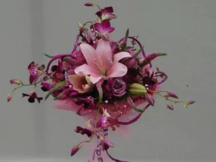 1150955_603743366315571_2106043438_n