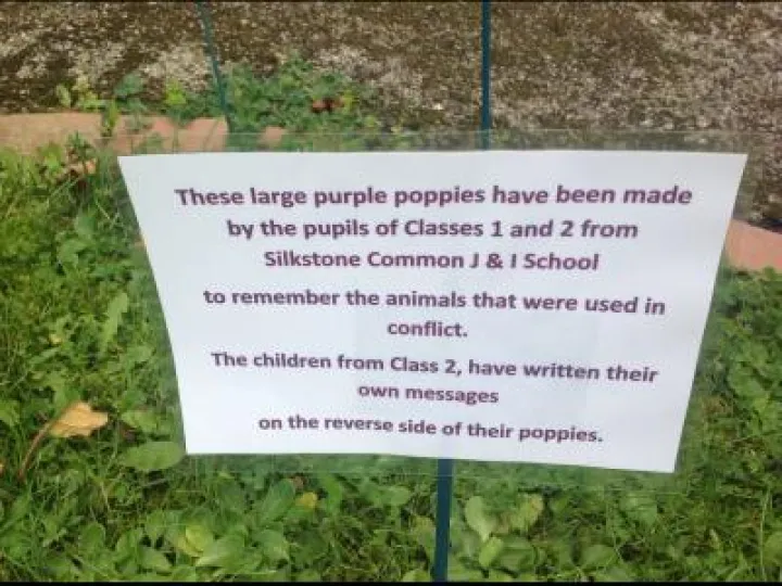 Silkstone Common Poppies (3)