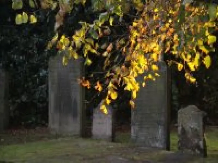 Grave yard