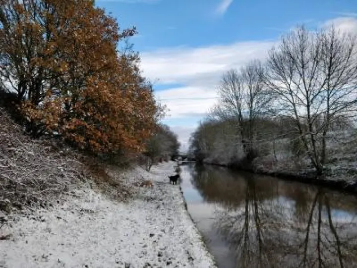 24900072_1752182241460291_1385912130754650387_n