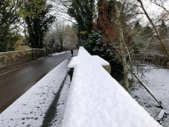 24909979_1752182134793635_3946612656690686081_n