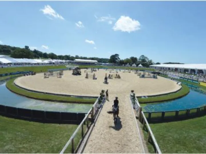 WEB_Bolesowrth_International-1024x768