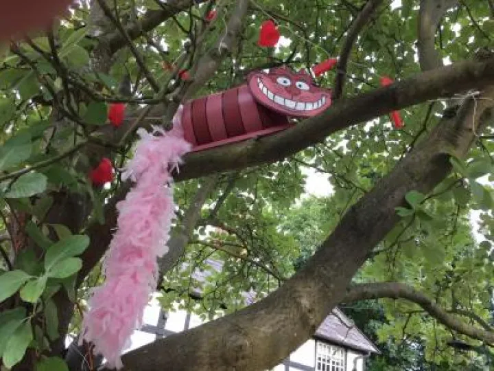 Cheshire Cat Madness