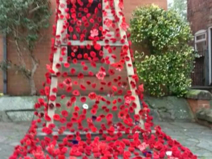 TMC Poppy Display 20181105_162149_resized