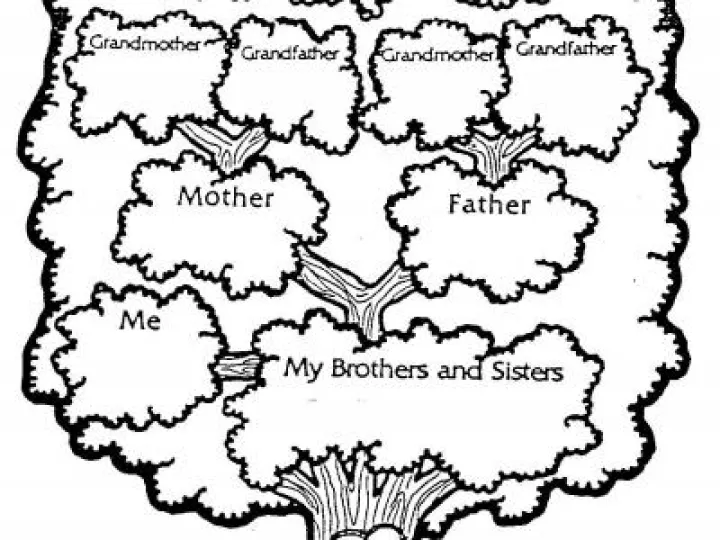 My Family Tree