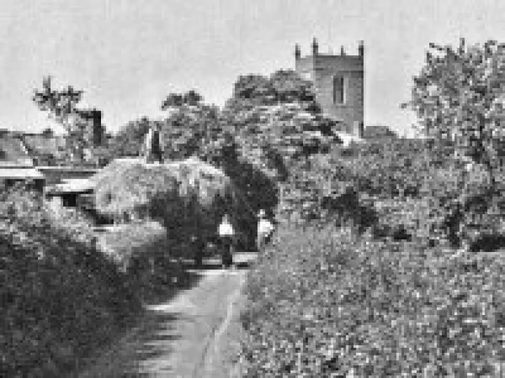 Eachus Lane haymaking