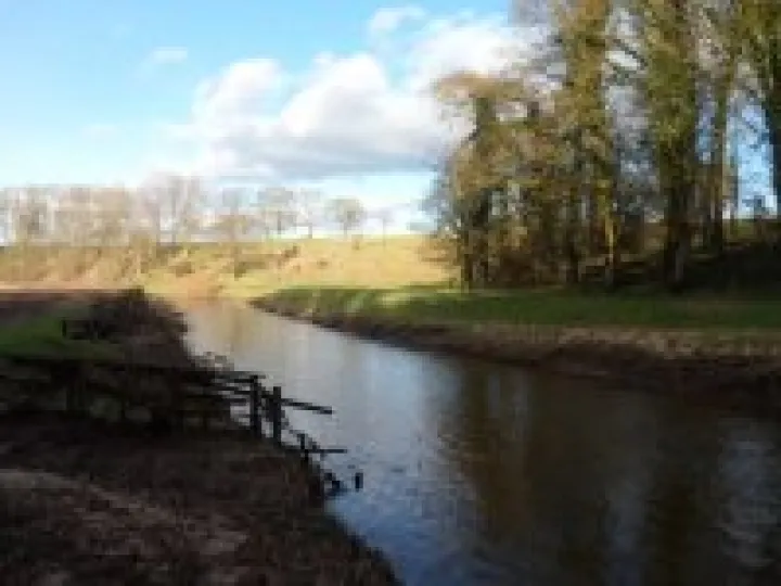 Canal walk January 2013 (12)