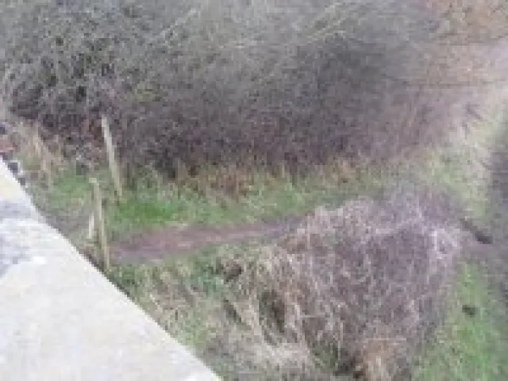 Canal towpath renovations (19)