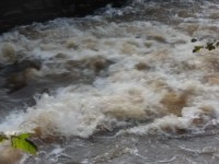 Weaver weir 2011 (7)
