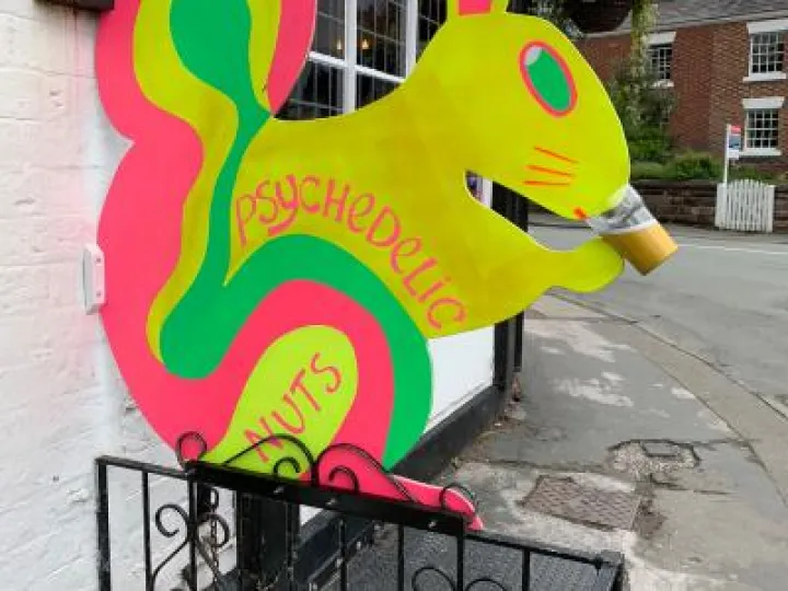 Psychedelic Nuts
