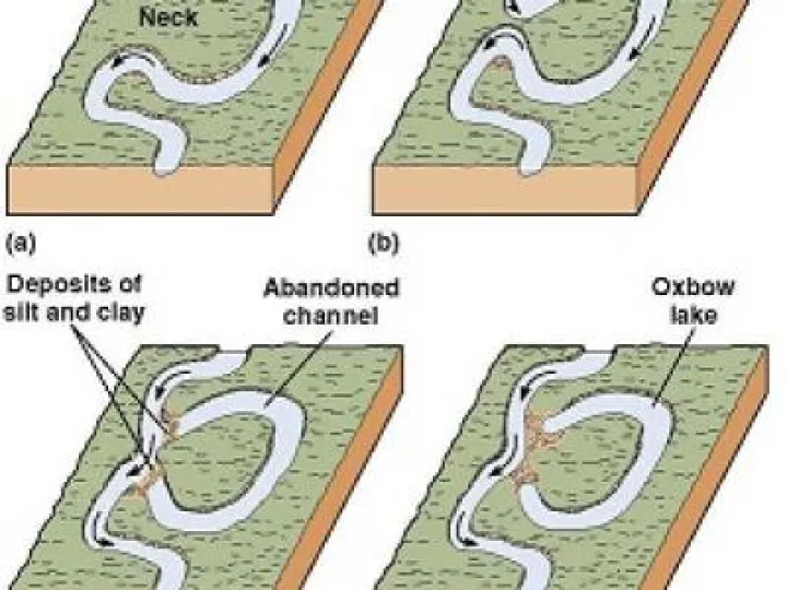 Gowy Diagram Of Oxbow Lake (1)