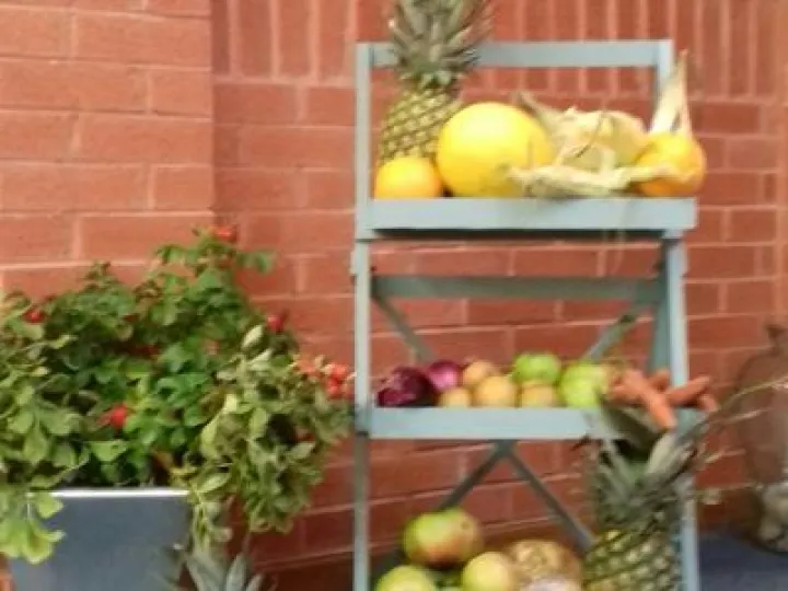 Image: 20191006_104708_resized