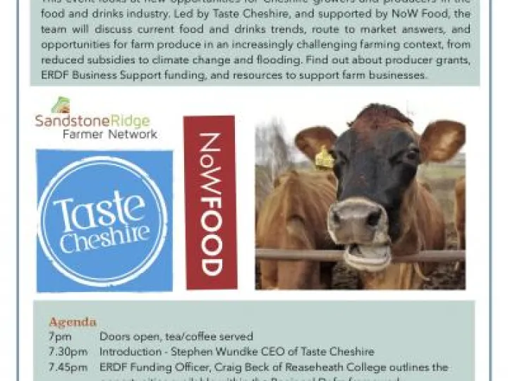 Food event flyer jpeg