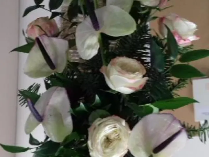 FC Jan 2020 White Flowers 20200108_210751[98334]