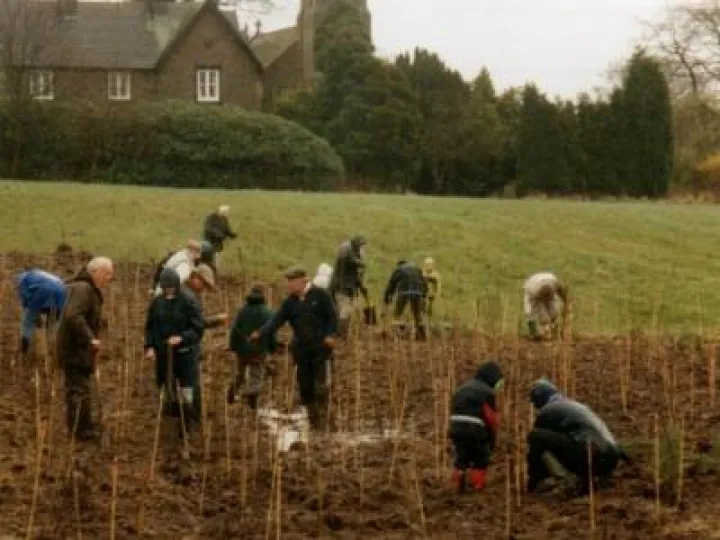 TreePlanting1999