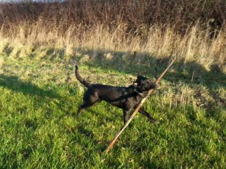 Image: 20191215_094947