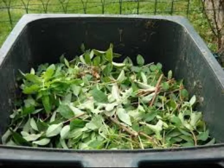 Garden Waste