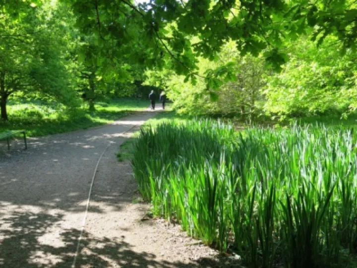 TWW Photos May 2020 Fullsizeoutput_2cb3