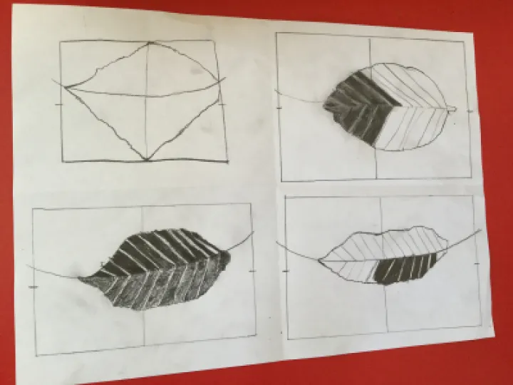 Image: 542001F1-866C-41F1-A549-8E8EDA01989E