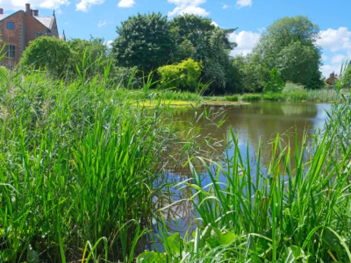 Still Waters_JT_F1087