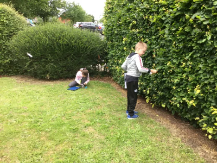 Image: 84F199C5-8372-4C52-A008-0721F6CC133F