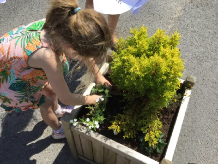 Image: 5DF46E85-5DC0-4766-9717-9ADB5C528F8C