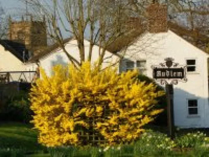 Whitchurch Road, Audlem