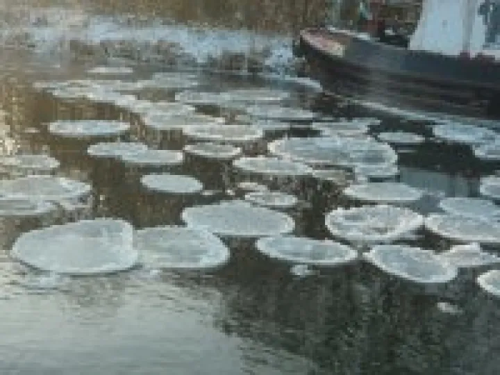 Ice 'waterlilies' at Audlem, January 2010