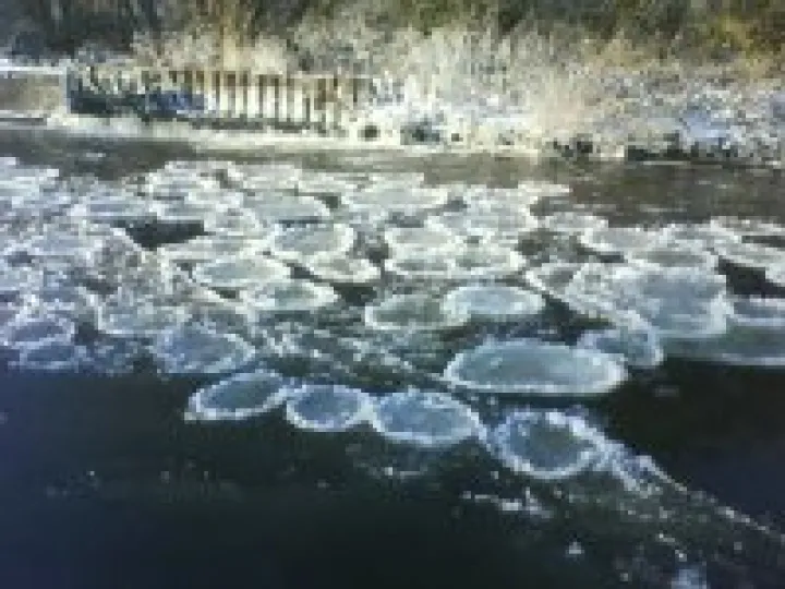 Ice 'waterlilies' – Audlem, January 2010