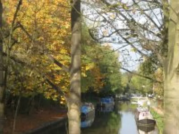 Canal in Autumn