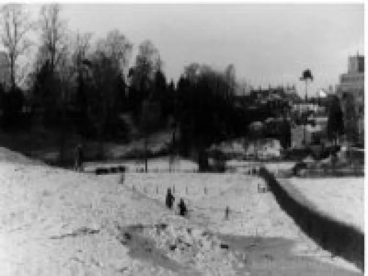 Sledging on Holmes Bank