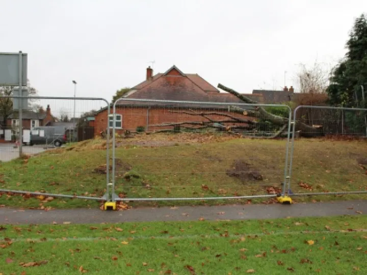 12/11/2016 Tree Removal