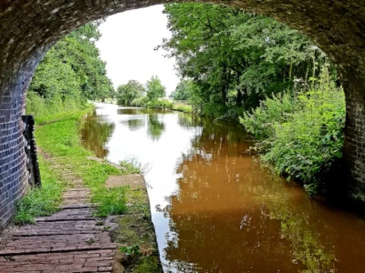 Summer Canal Scene