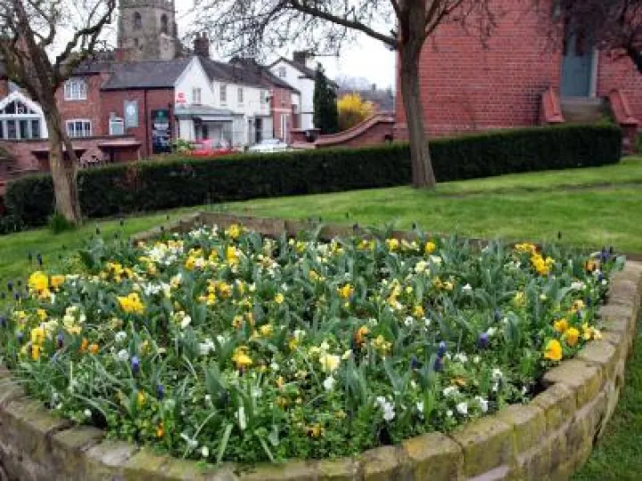 spring-flowers-2018-phil-baker-5