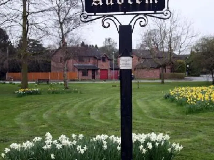 spring-flowers-2018-phil-baker-8