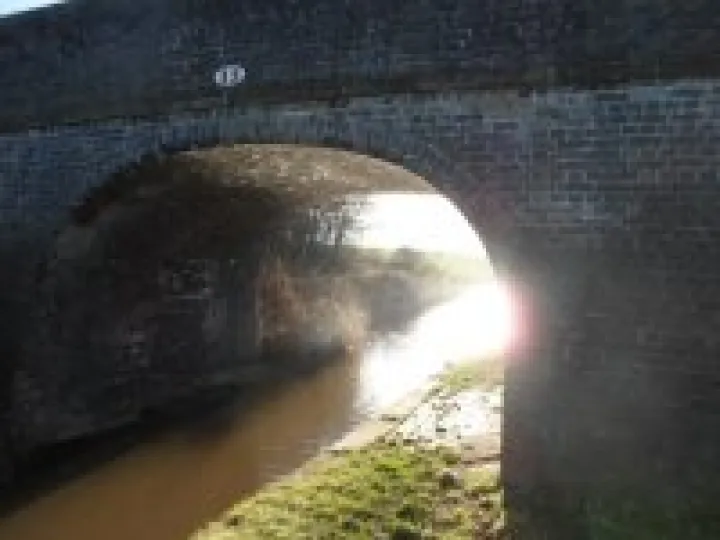 2013 Boxing Day walk (7)