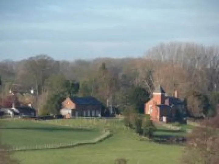 2013 Boxing Day walk (8)