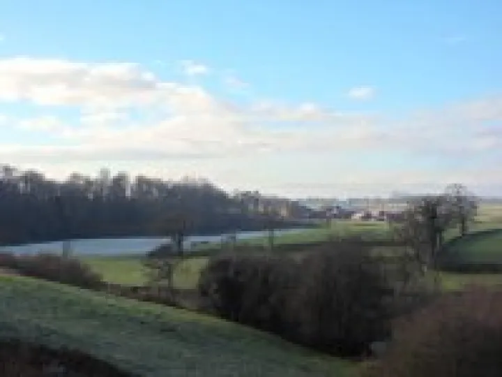 2013 Boxing Day walk (3)