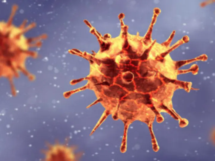 Covid – 19 Virus