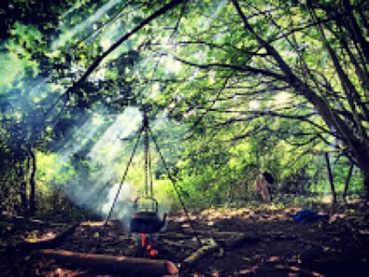 Williams Wood download