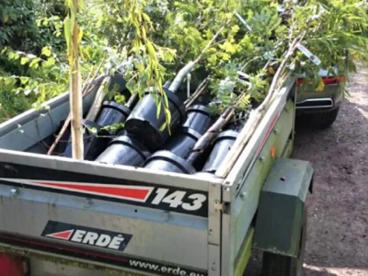 Transporting the trees &ndash; Sept 2020