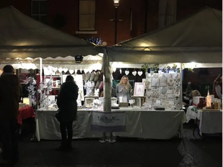 TCM Little Jenny Wren Picture1