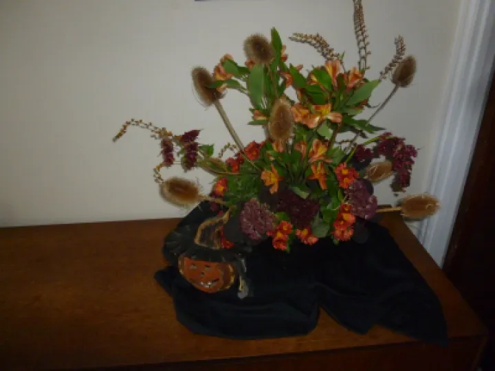 TFC October 2020 P1030918