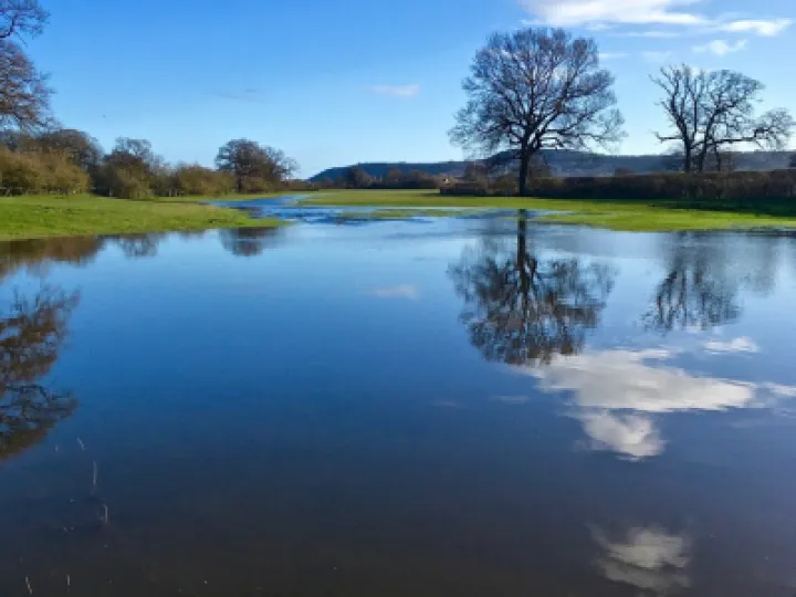 lake tattenhall crop