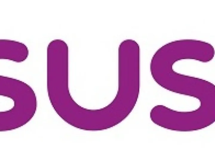 Census 2021 Logo Head