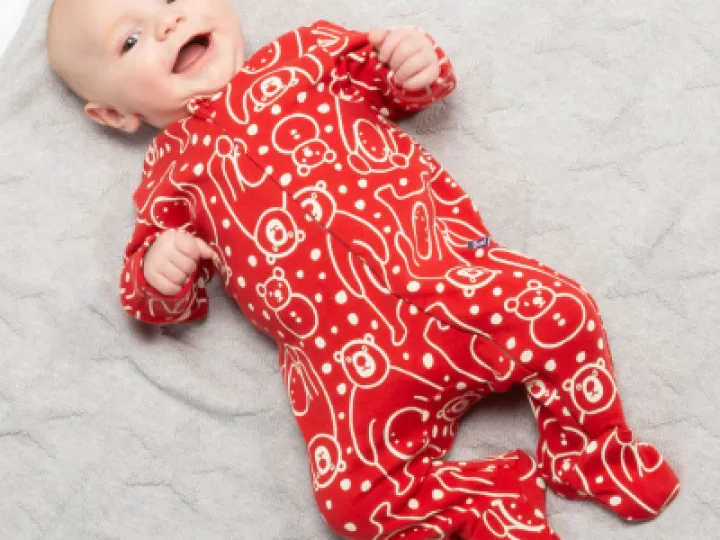 Image: 04-8067-BUS_A